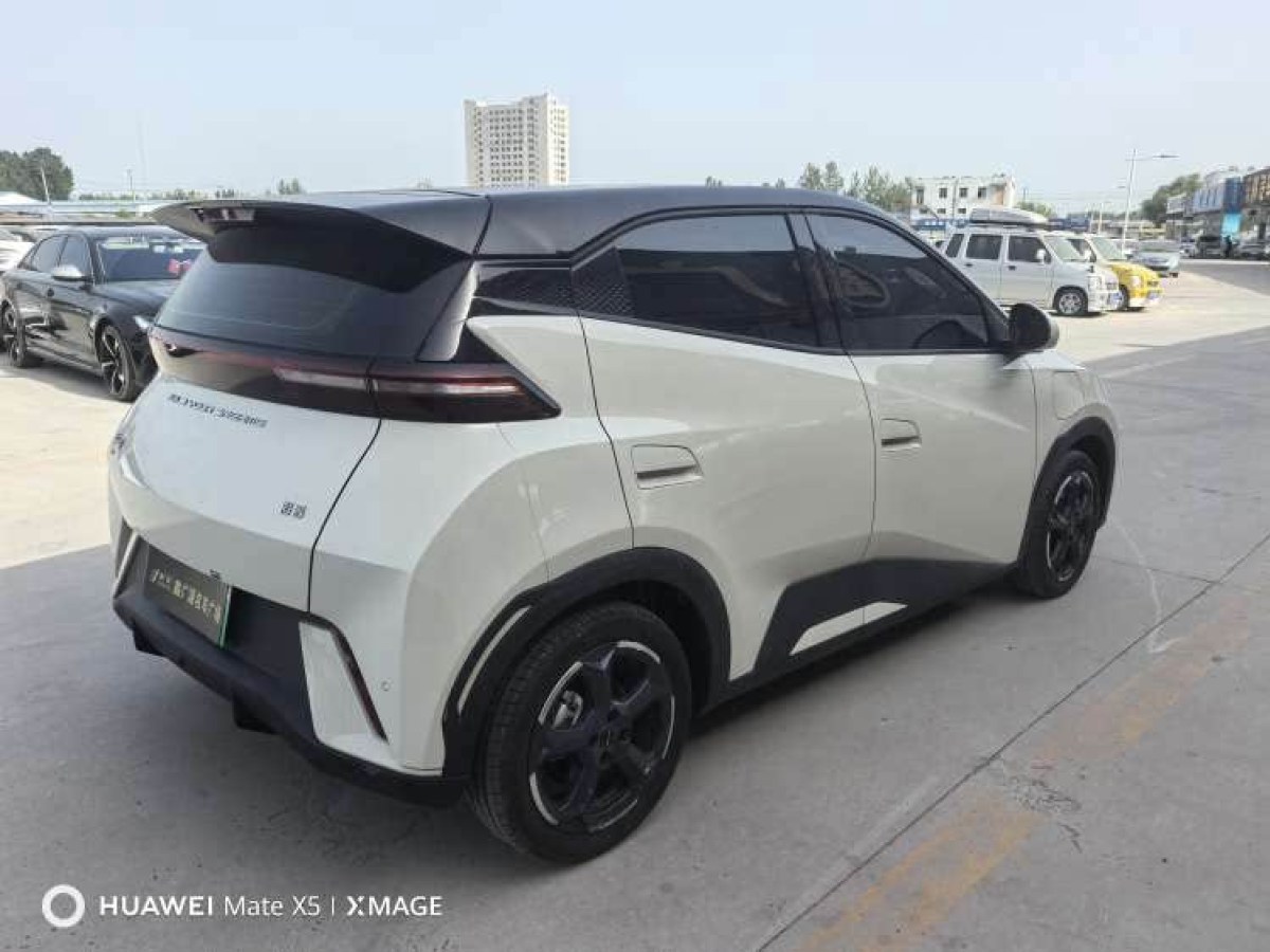 比亞迪 海鷗  2024款 榮耀版 305km 自由版圖片