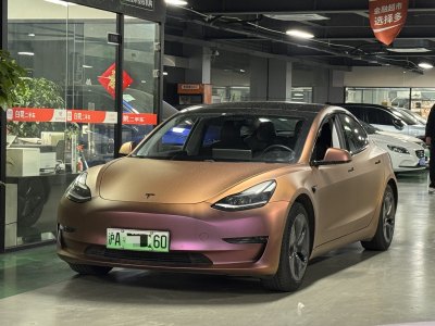 2020年11月 特斯拉 Model 3 改款 標(biāo)準(zhǔn)續(xù)航后驅(qū)升級版圖片