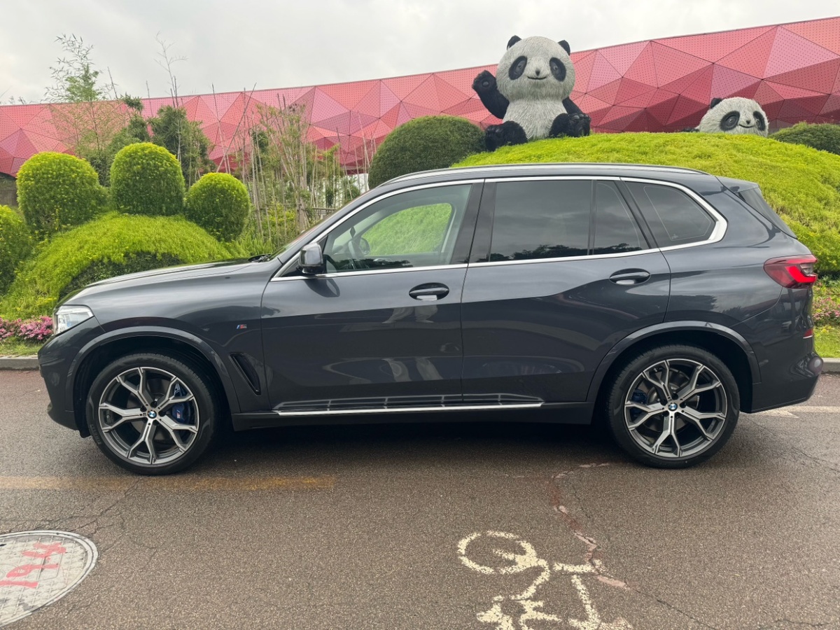 宝马 宝马X5  2019款 xDrive40i 尊享型 M运动套装图片