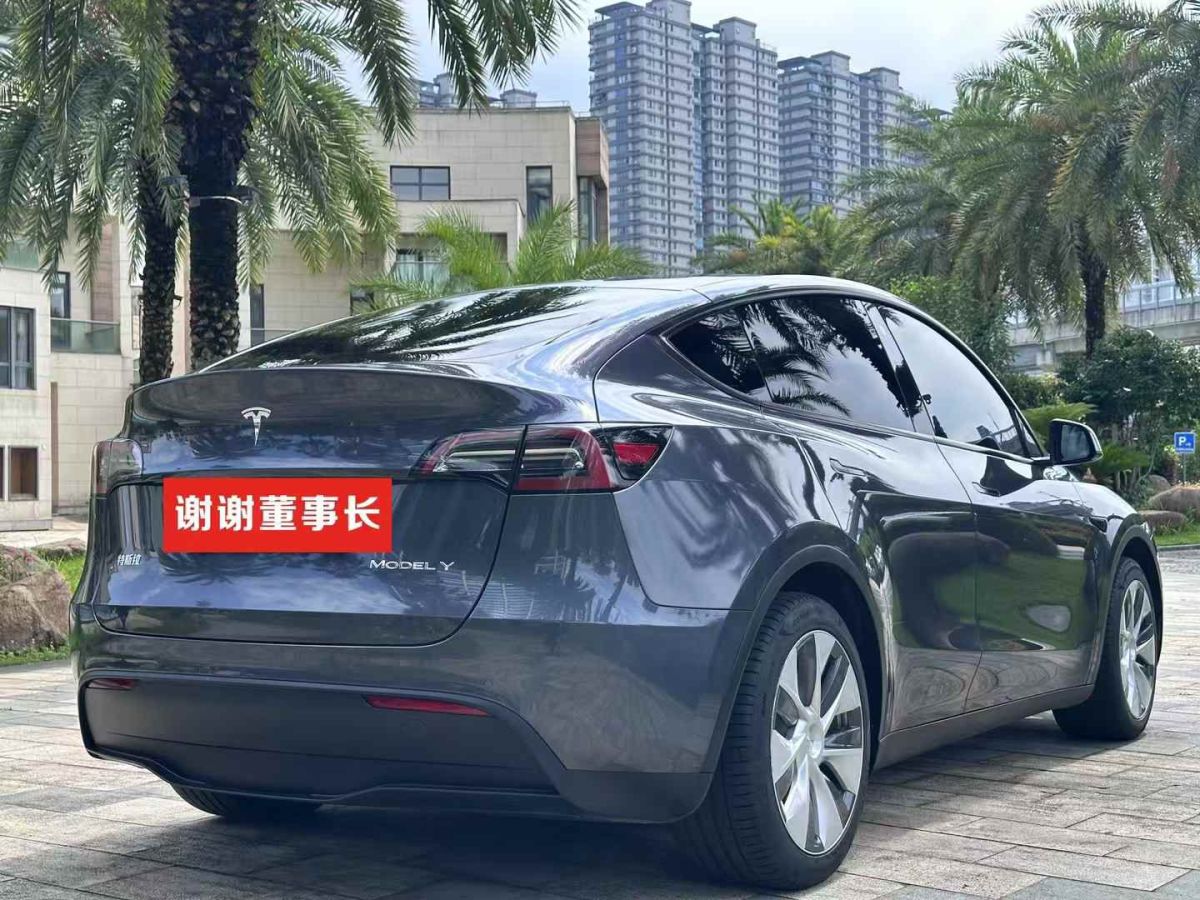 特斯拉 Model Y  2022款 Performance高性能全輪驅(qū)動(dòng)版圖片