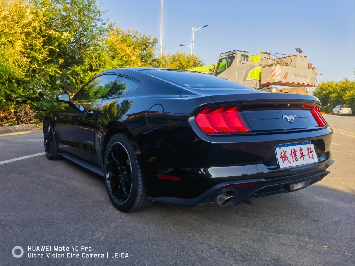 福特 Mustang  2019款 2.3L EcoBoost图片