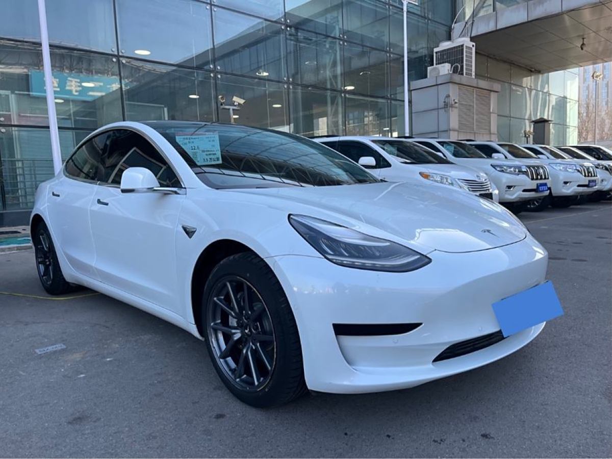 特斯拉 Model 3  2020款 改款 標準續(xù)航后驅升級版圖片