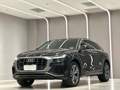 2023年8月 奧迪 奧迪Q8(進口) 55 TFSI 豪華動感型圖片