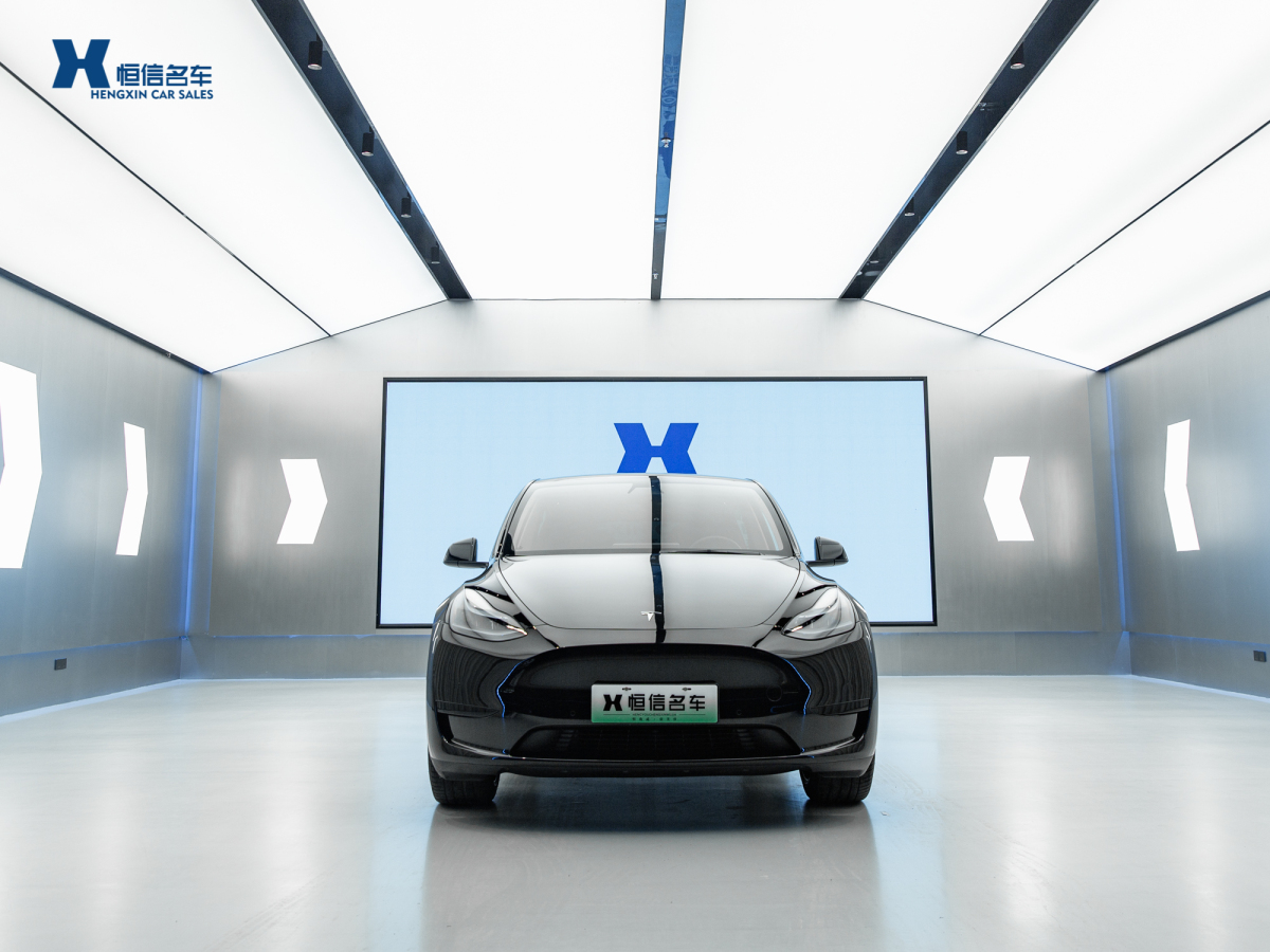 特斯拉 Model Y  2020款 改款 長(zhǎng)續(xù)航后輪驅(qū)動(dòng)版圖片