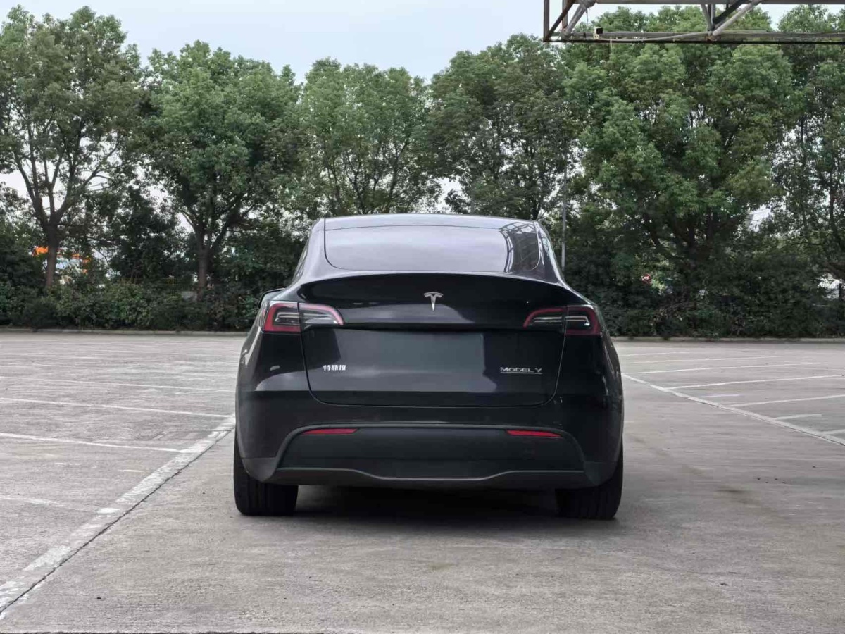 特斯拉 Model Y  2022款 Performance高性能全輪驅(qū)動(dòng)版圖片