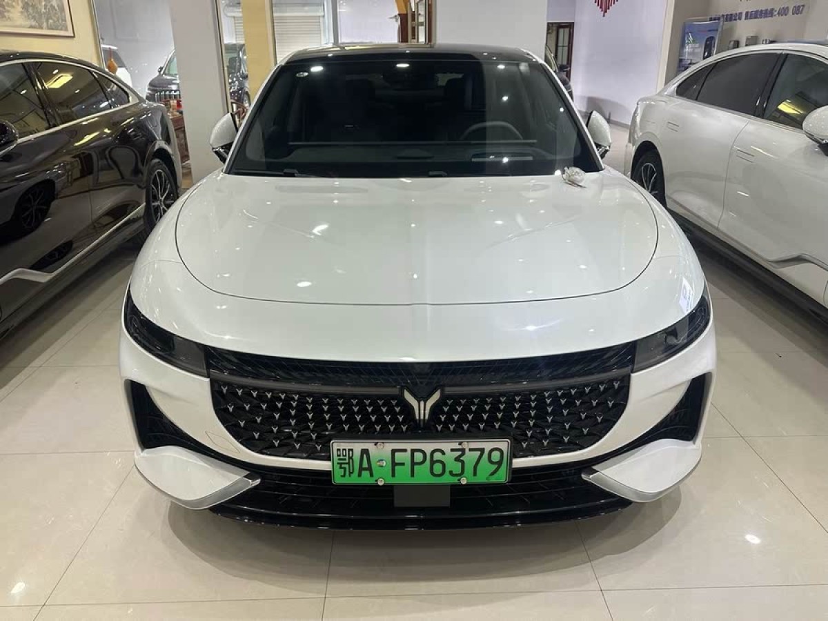 嵐圖 嵐圖追光  2024款 PHEV 四驅(qū)超長續(xù)航行政版圖片