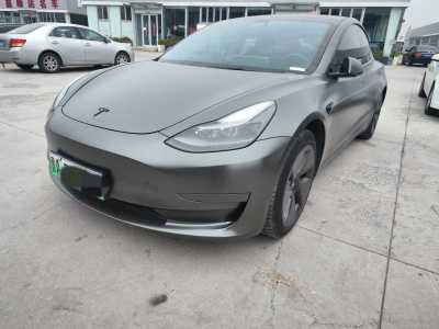 2021年4月 特斯拉 Model 3 标准续航后驱升级版图片