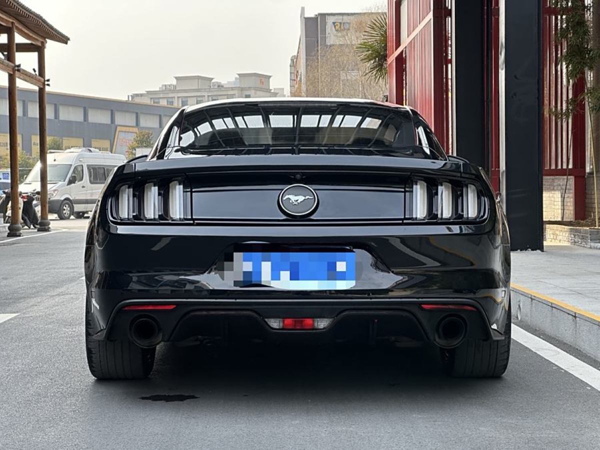 福特 Mustang  2015款 2.3T 性能版圖片