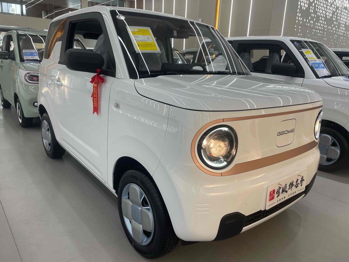 2024年9月吉利 熊貓mini  2023款 200km 耐力熊