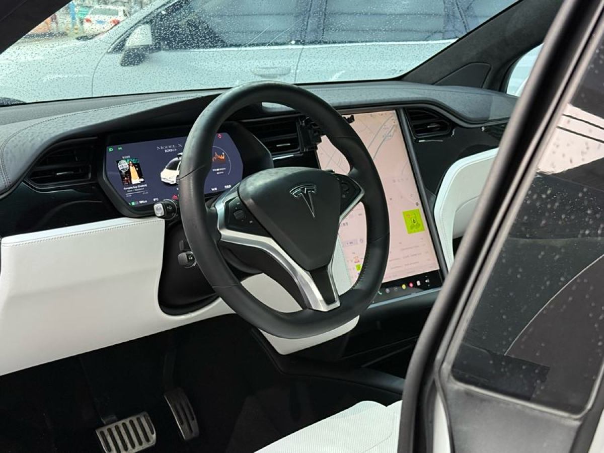 2019年1月特斯拉 Model X  2017款 Model X 100D 長續(xù)航版