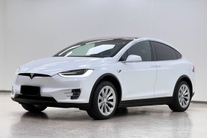 Model X 特斯拉 Model X 100D 长续航版