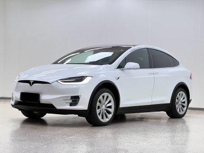 2019年3月 特斯拉 Model X Model X 100D 長續(xù)航版圖片