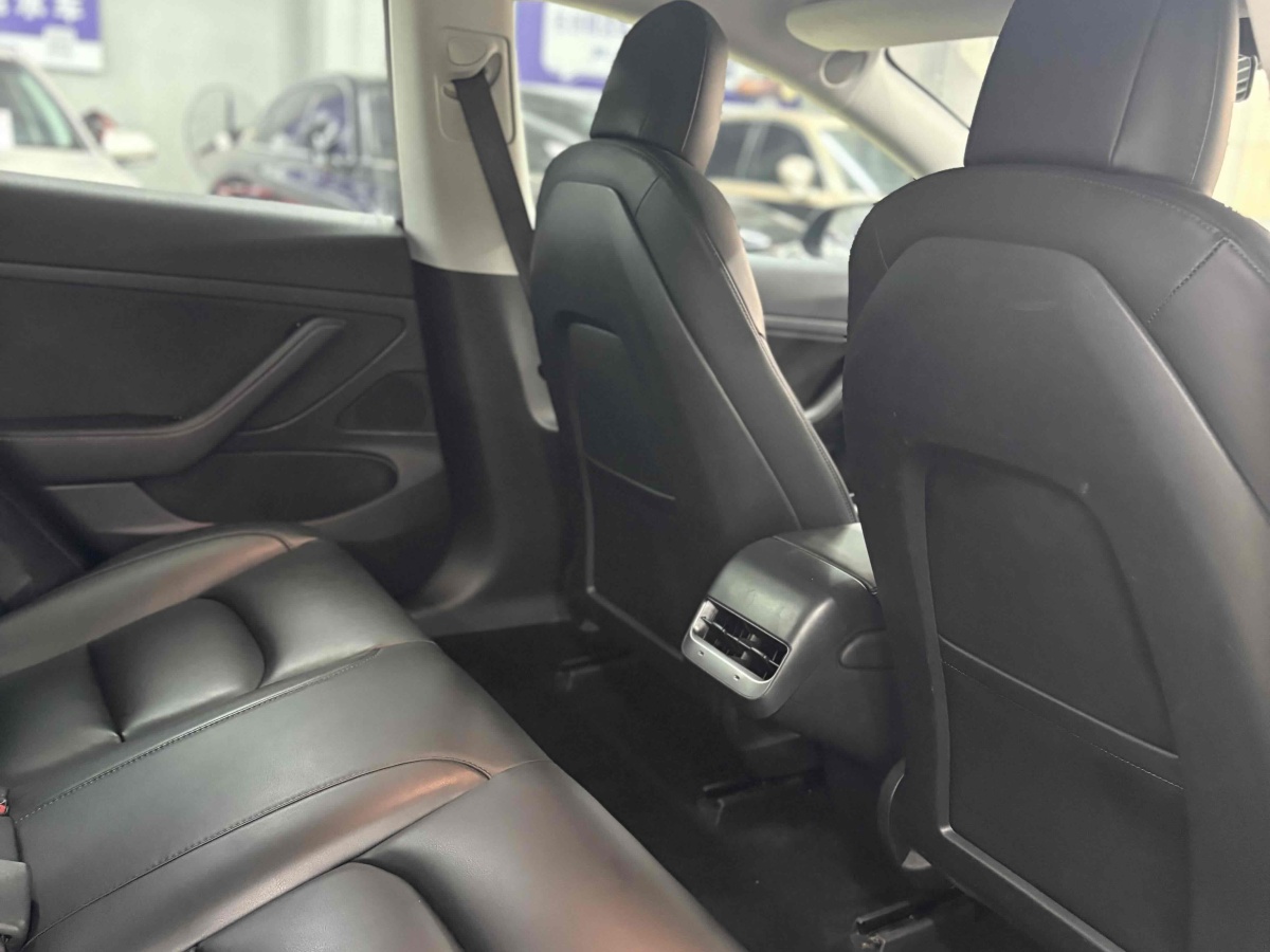 特斯拉 Model 3  2020款 改款 標(biāo)準(zhǔn)續(xù)航后驅(qū)升級(jí)版圖片