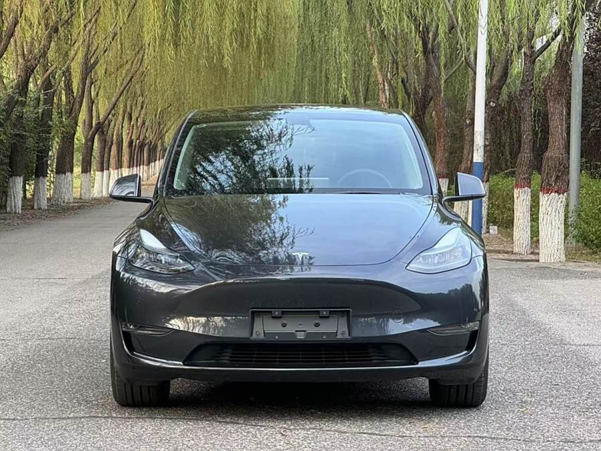 2024年9月特斯拉 Model 3  2024款 長續(xù)航全輪驅動版