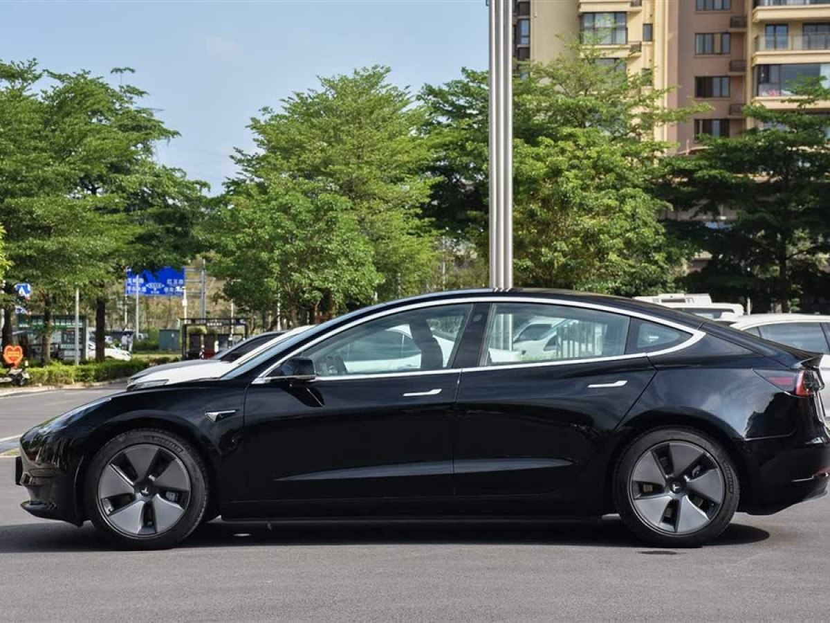 特斯拉 Model 3  2019款 標(biāo)準(zhǔn)續(xù)航后驅(qū)升級版圖片