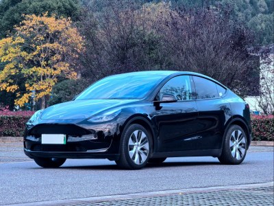  特斯拉 Model Y 2022款 后輪驅(qū)動版 圖片