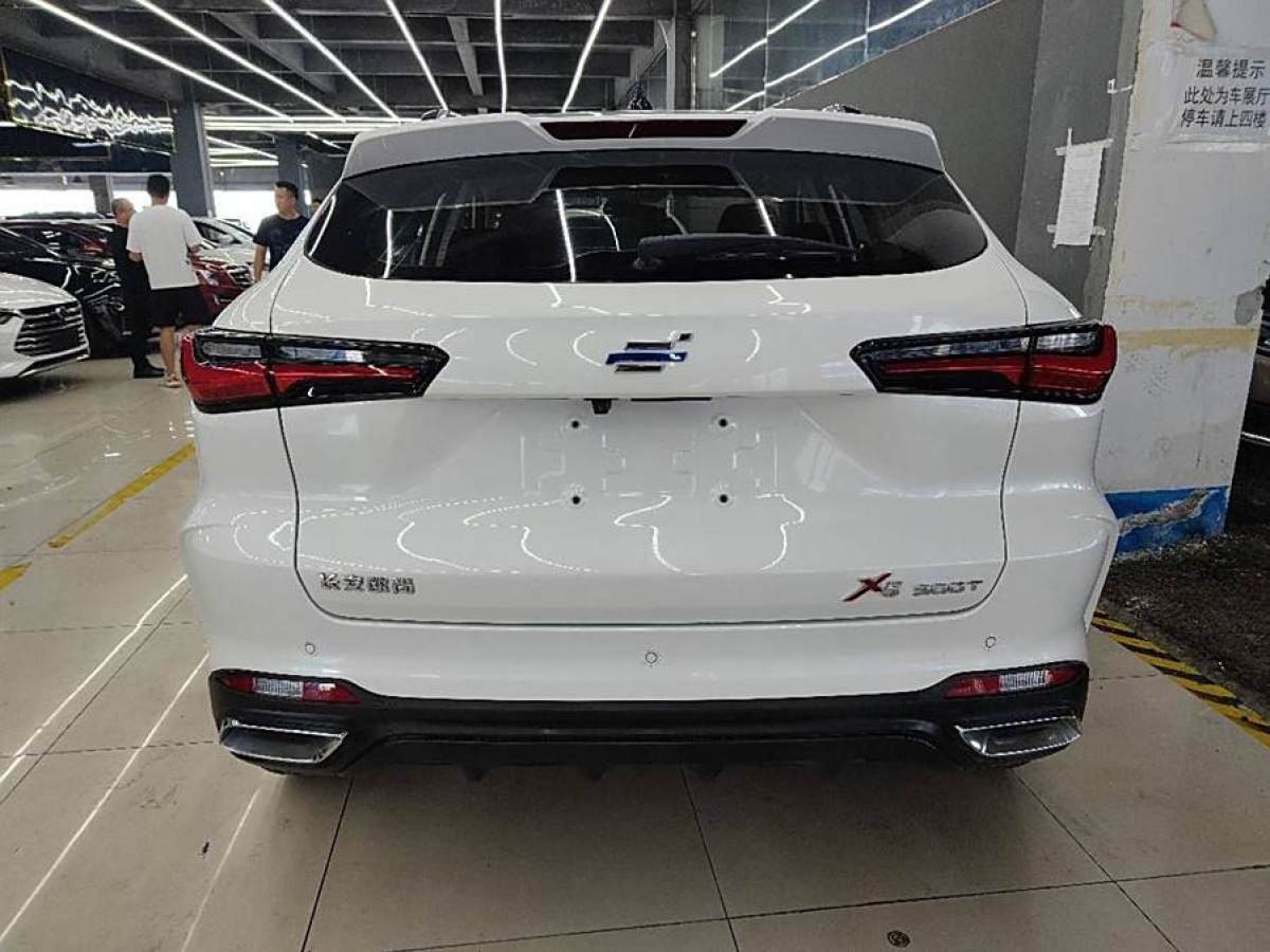 長(zhǎng)安歐尚 長(zhǎng)安歐尚X5  2021款 1.5T DCT旗艦型圖片