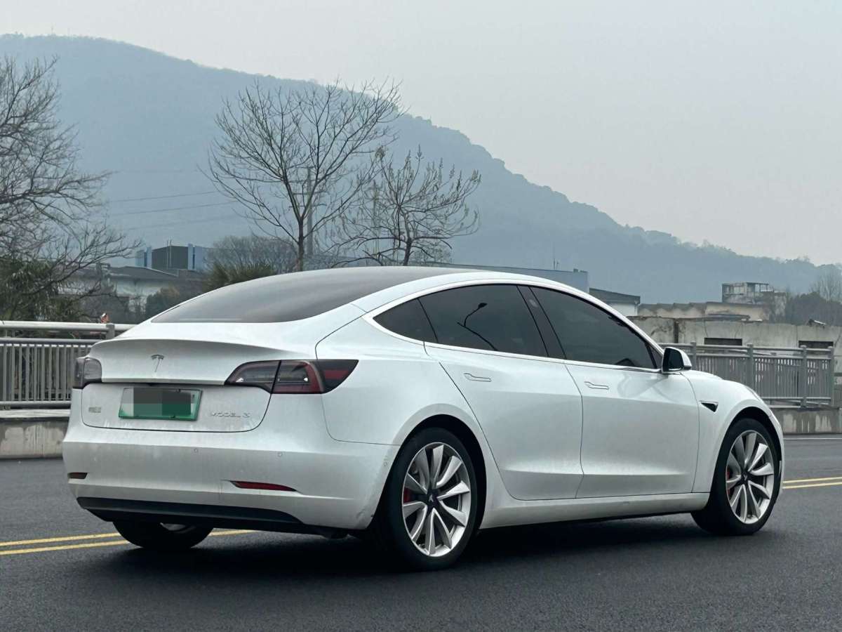 特斯拉 Model 3  2019款 標(biāo)準(zhǔn)續(xù)航后驅(qū)升級(jí)版圖片