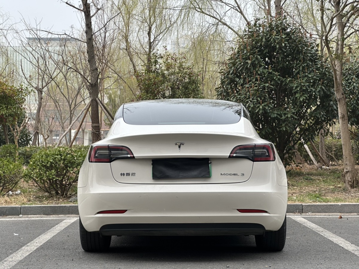 特斯拉 Model 3  2021款 標(biāo)準(zhǔn)續(xù)航后驅(qū)升級版 3D6圖片