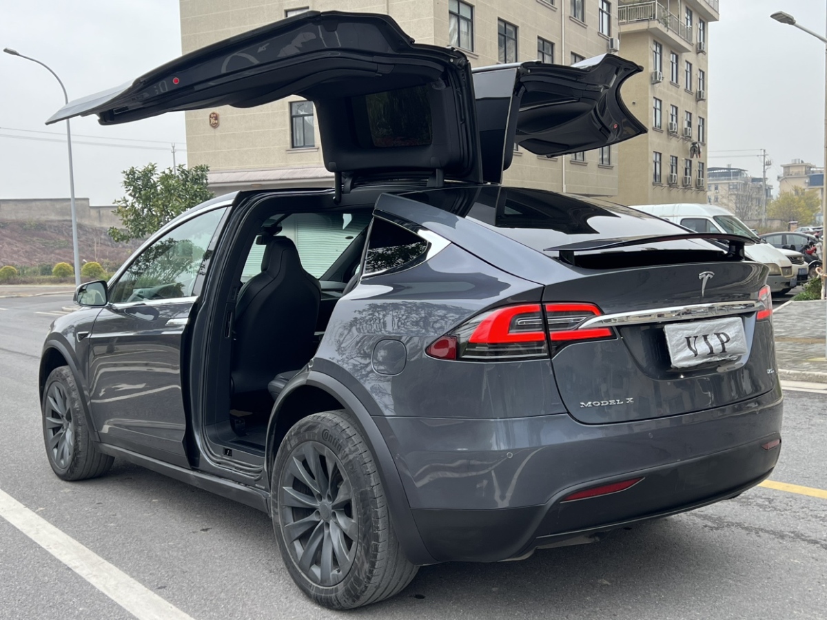 特斯拉 Model X  2019款 標準續(xù)航版圖片