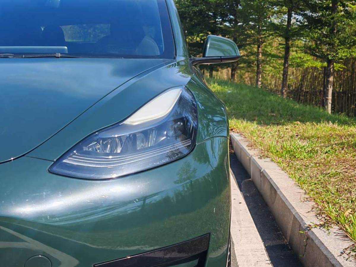 特斯拉 Model 3  2019款 標準續(xù)航后驅(qū)升級版圖片