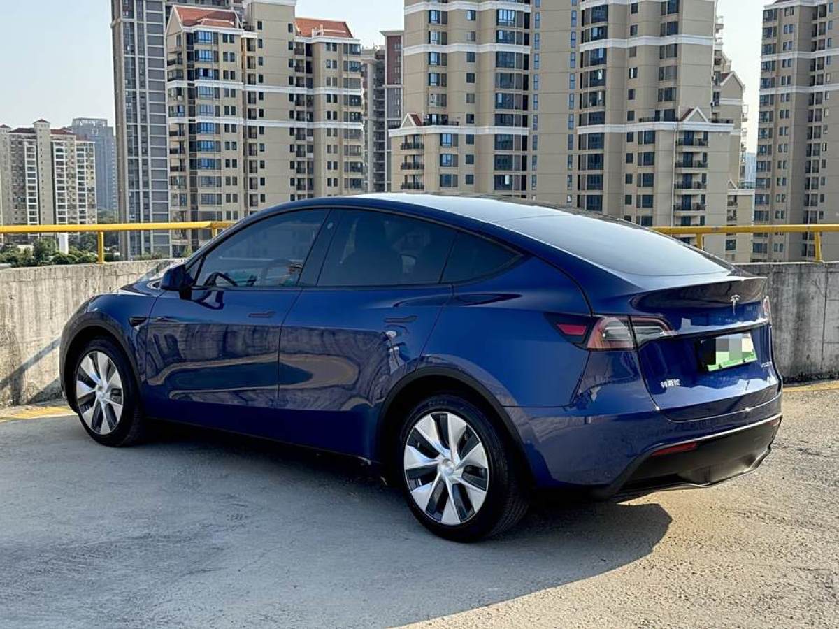 特斯拉 Model Y  2021款 改款 長(zhǎng)續(xù)航全輪驅(qū)動(dòng)版圖片