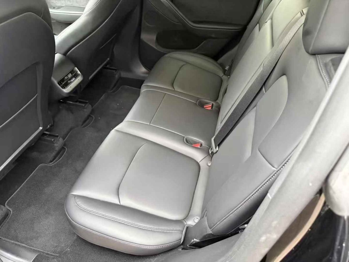 特斯拉 Model Y  2024款 Performance高性能版圖片