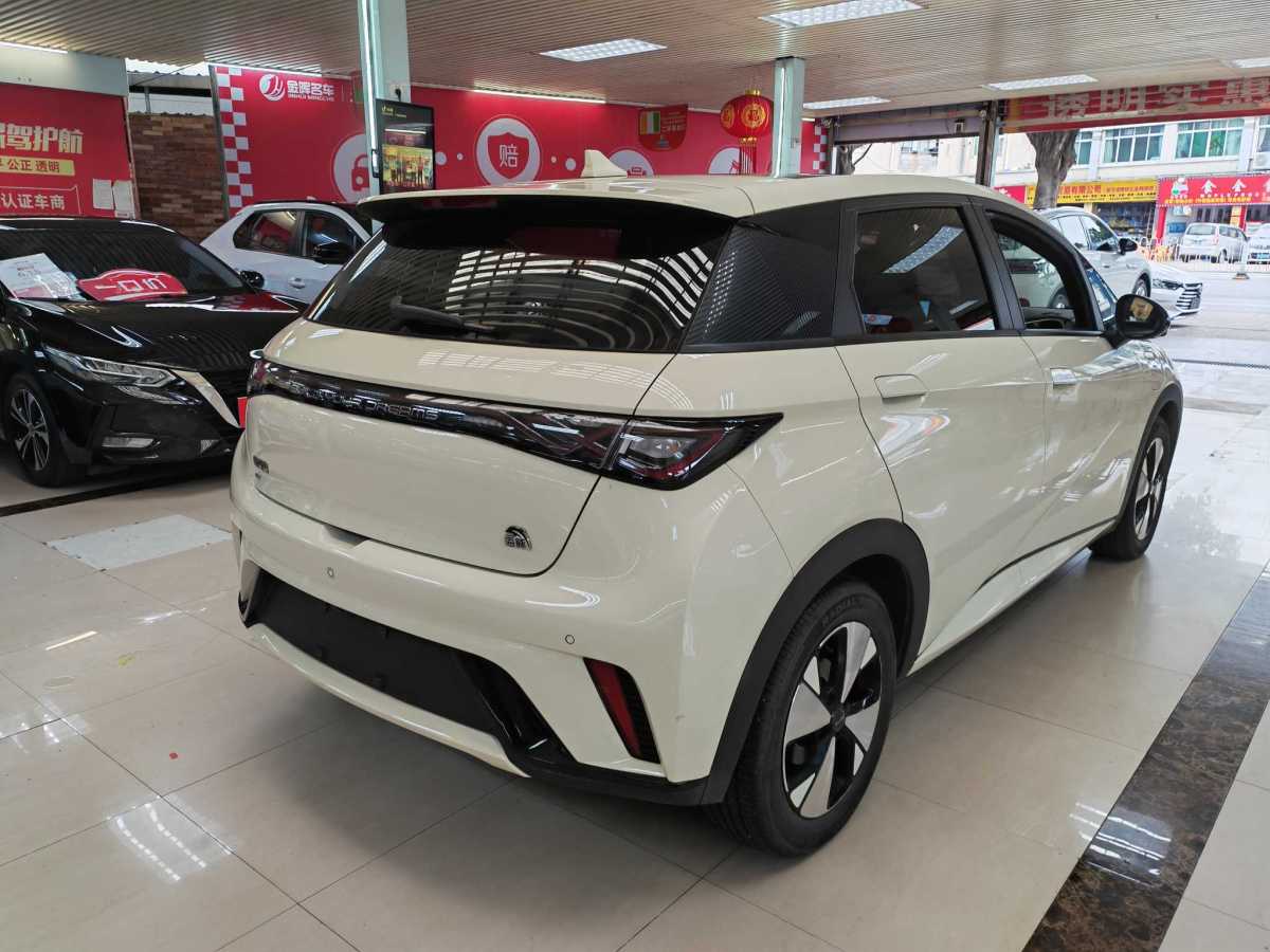 2023年3月比亞迪 海豚  2023款 420km 時(shí)尚版