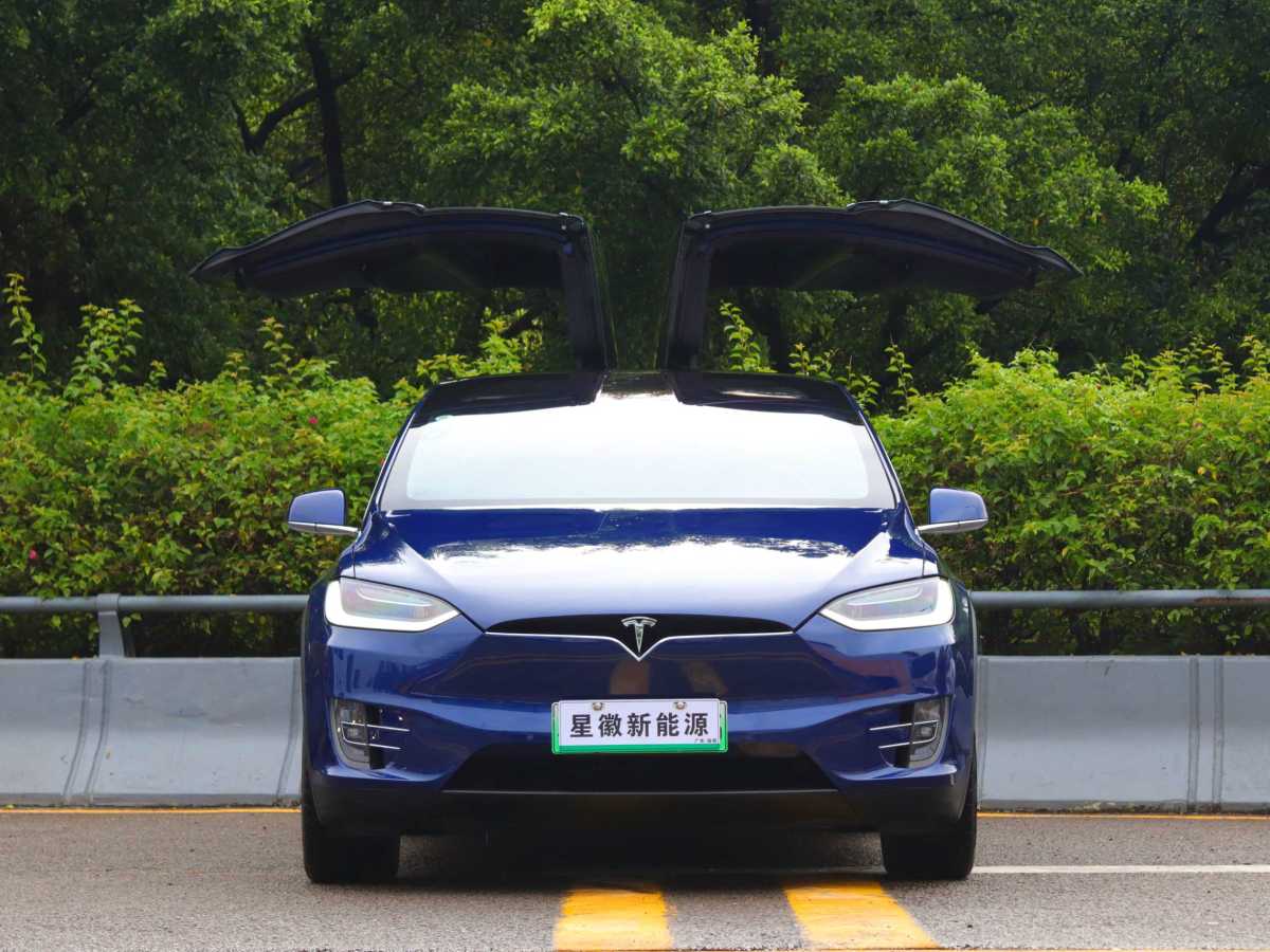 2020年1月特斯拉 Model X  2019款 長(zhǎng)續(xù)航版