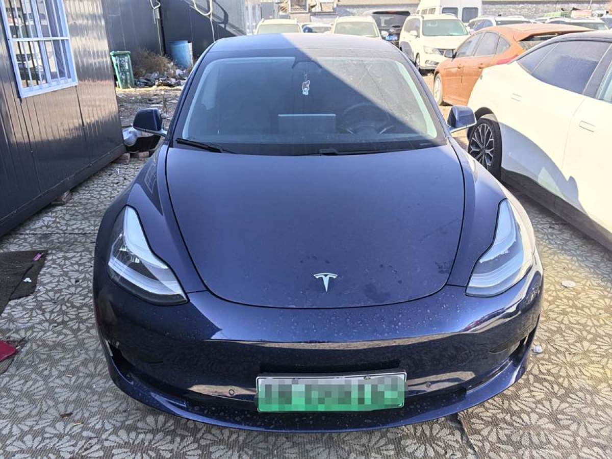 特斯拉 Model 3  2019款 標準續(xù)航后驅(qū)升級版圖片