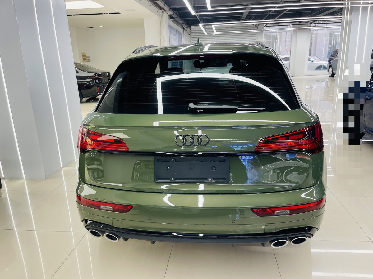 奧迪 奧迪SQ5  2014款 SQ5 3.0 TFSI quattro圖片