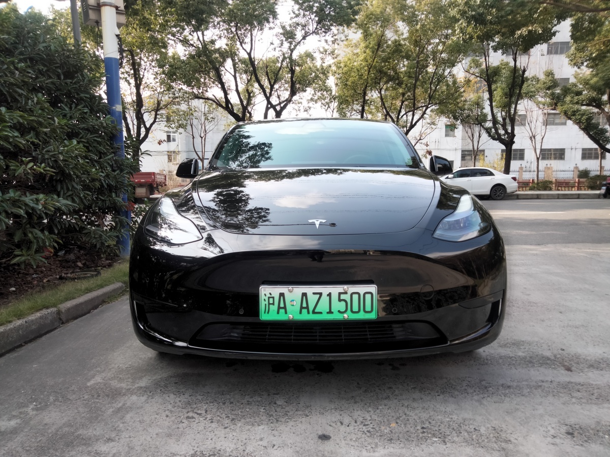 特斯拉 Model 3  2022款 后輪驅(qū)動(dòng)版圖片