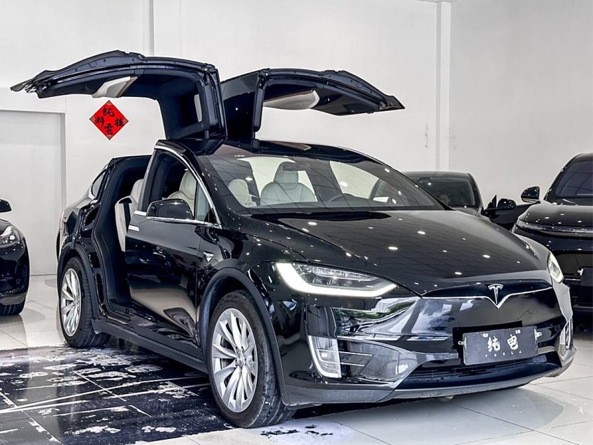 特斯拉 Model X  2019款 長續(xù)航版圖片