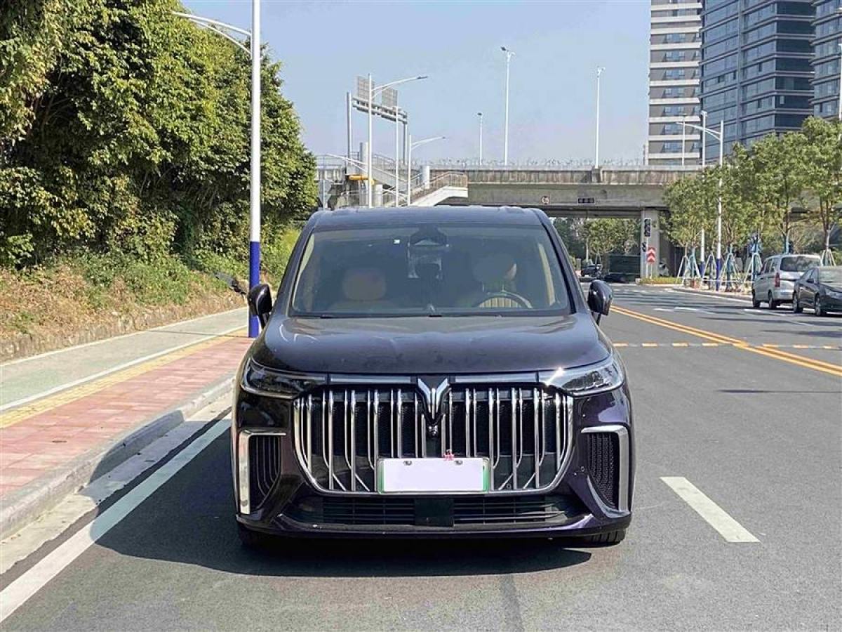 嵐圖 夢想家  2024款 PHEV 超長續(xù)航旗艦版圖片