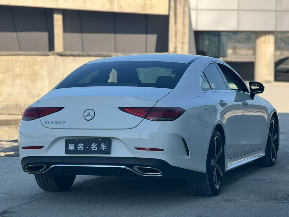 奔馳 奔馳CLS級(jí)  2020款 CLS 300 豪華型圖片