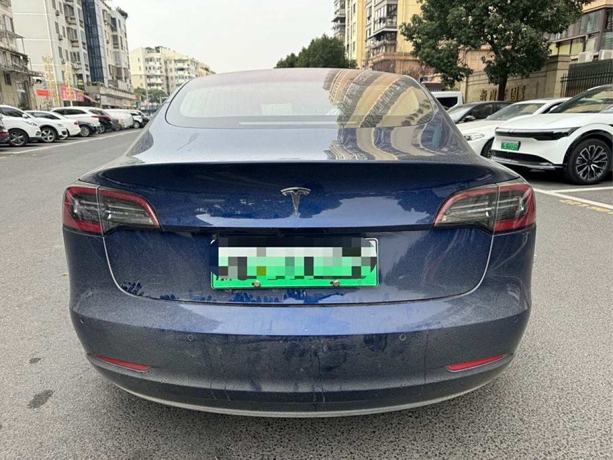 特斯拉 Model 3  2019款 長(zhǎng)續(xù)航后驅(qū)版圖片