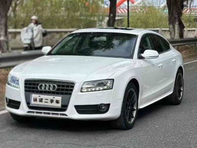 2011年7月 奧迪 奧迪A5(進口) 2.0TFSI Sportback 豪華型圖片