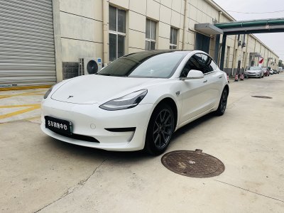 2020年8月 特斯拉 Model 3 標(biāo)準續(xù)航后驅(qū)升級版圖片