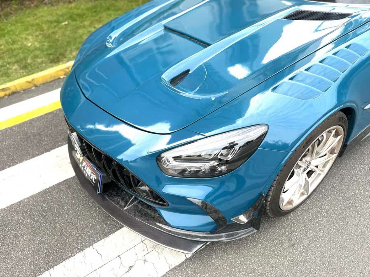 奔馳 奔馳AMG GT  2019款 AMG GT圖片