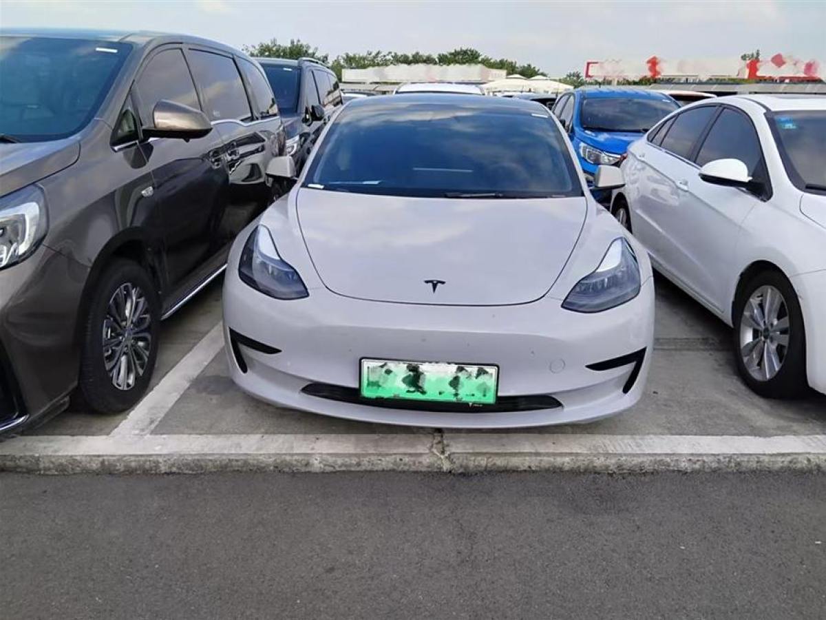 特斯拉 Model 3  2021款 改款 標(biāo)準(zhǔn)續(xù)航后驅(qū)升級(jí)版圖片