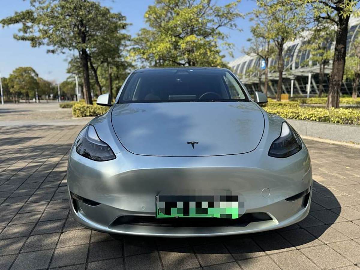 特斯拉 Model 3  2021款 改款 標(biāo)準(zhǔn)續(xù)航后驅(qū)升級(jí)版圖片