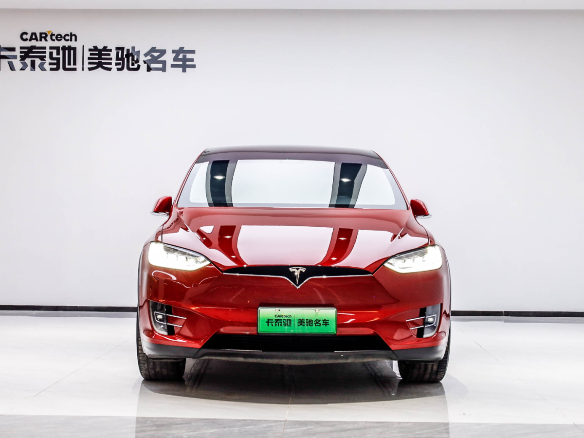 特斯拉 Model X 2019款 MODEL X 標(biāo)準(zhǔn)續(xù)航版圖片