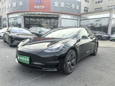 2020年11月 特斯拉 Model 3 改款 長(zhǎng)續(xù)航后輪驅(qū)動(dòng)版圖片