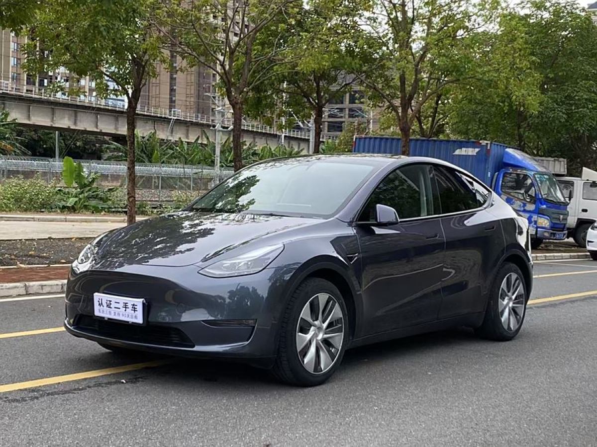 2021年4月特斯拉 Model Y  2021款 改款 長續(xù)航全輪驅(qū)動版