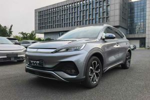 元UP 比亞迪 301KM 領(lǐng)先型