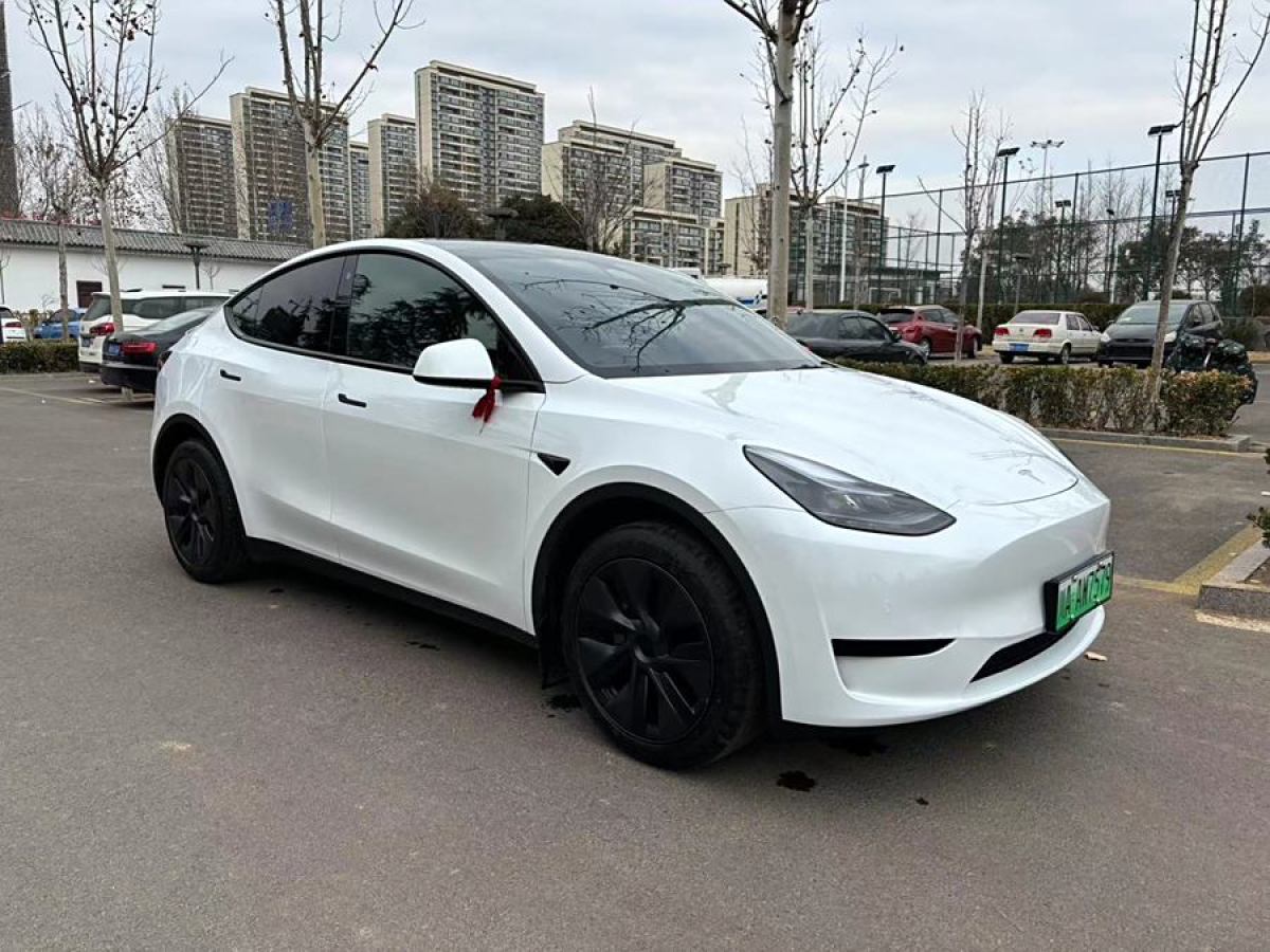 特斯拉 Model Y  2023款 煥新版 后輪驅(qū)動圖片