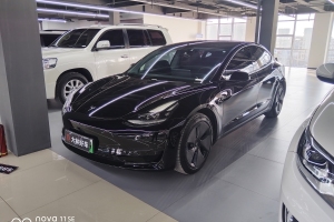 Model 3 特斯拉 標(biāo)準(zhǔn)續(xù)航后驅(qū)升級版