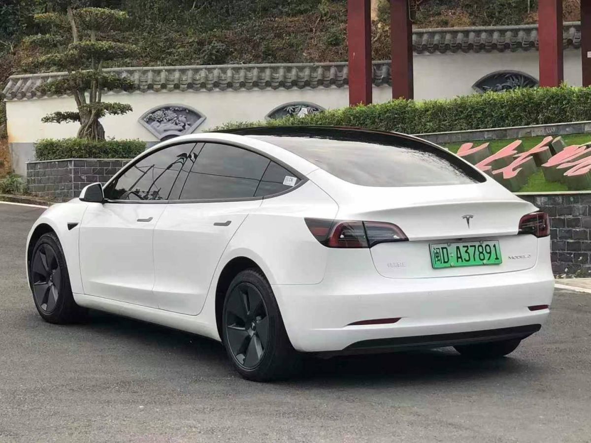 特斯拉 Model S  2023款 三電機(jī)全輪驅(qū)動(dòng) Plaid版圖片