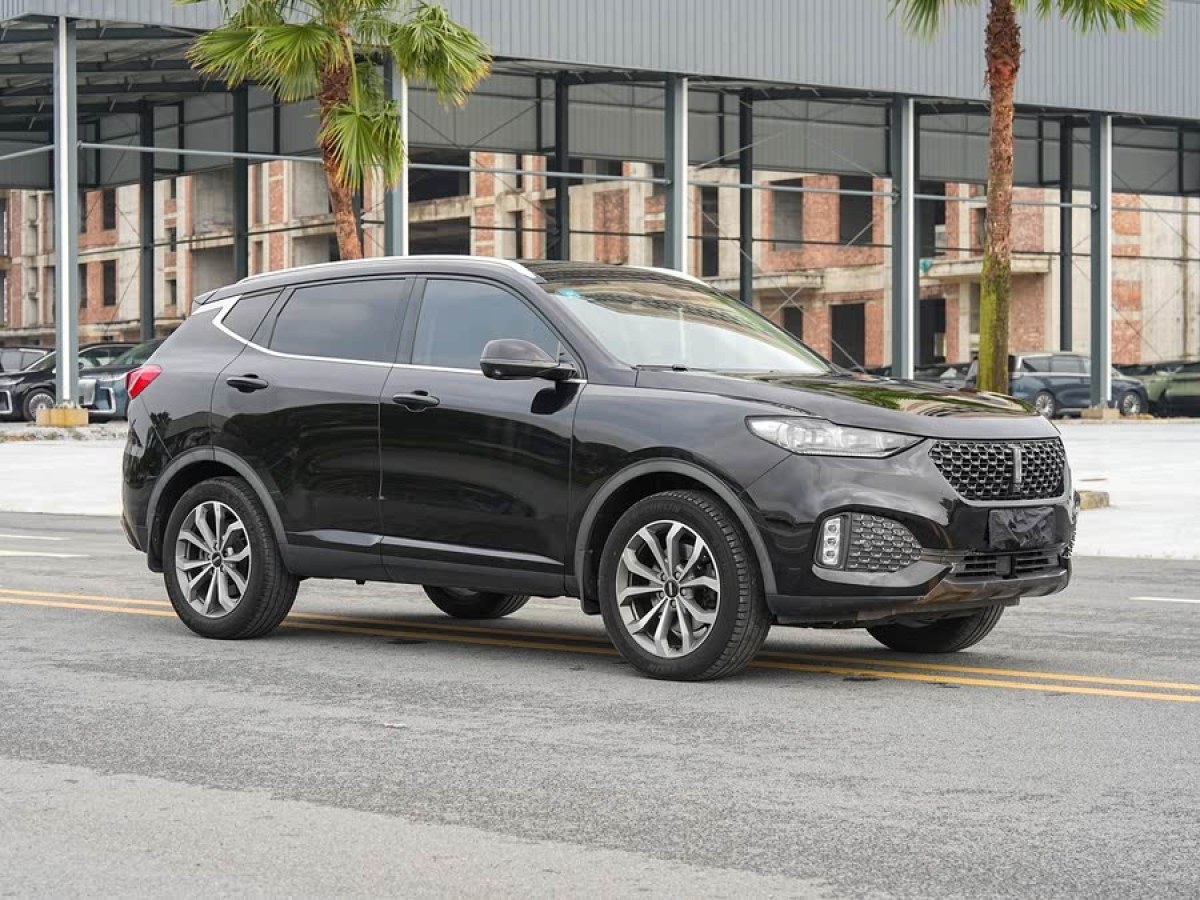 WEY VV6  2020款 2.0T 兩驅(qū)智護(hù)+圖片
