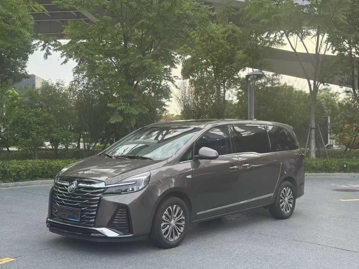 別克 GL8  2021款 Avenir艾維亞 七座親禮版圖片